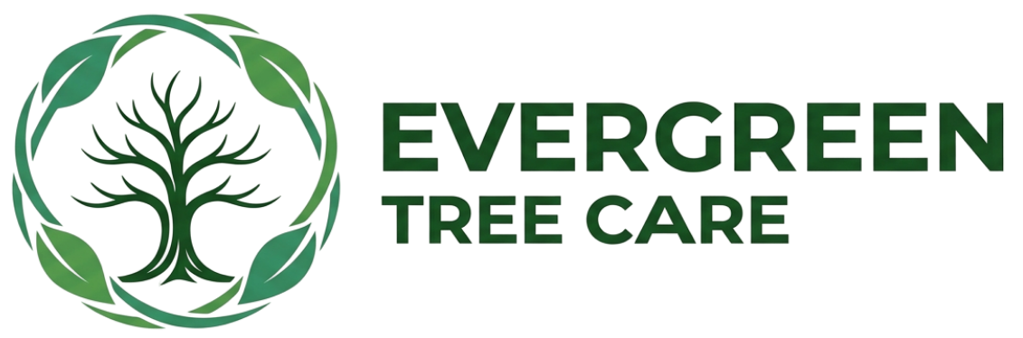 Evergreen Tree Care